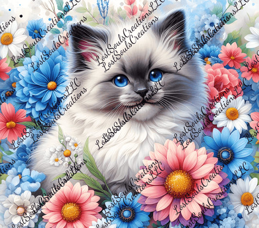 Digital Download